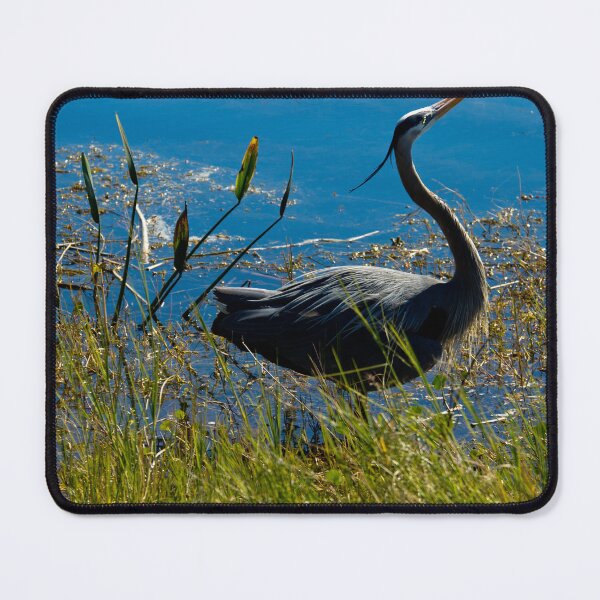 Item preview, Posing Great Blue Heron designed and sold by ValeriesGallery.