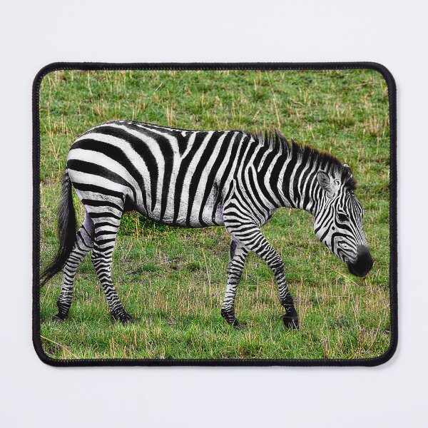 Item preview, A Pair of Zebras designed and sold by Kay Brewer.