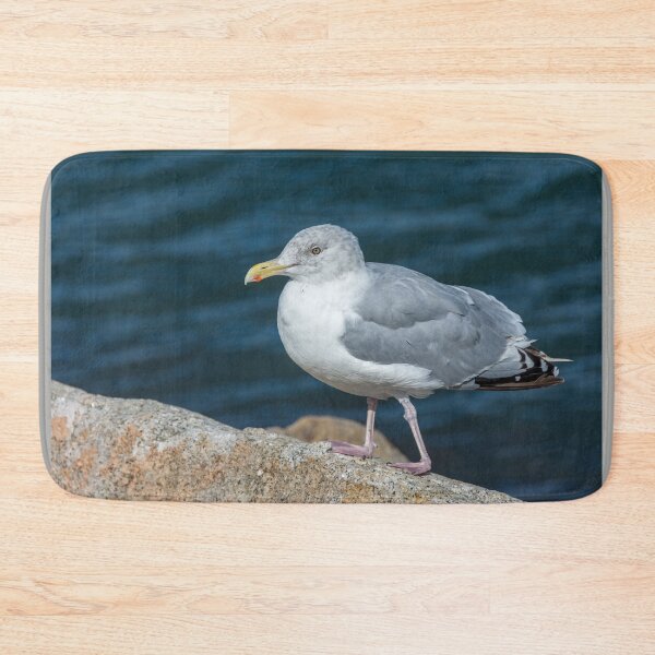 Item preview, Seagull On The Breakwater Wall designed and sold by Debra Martz.