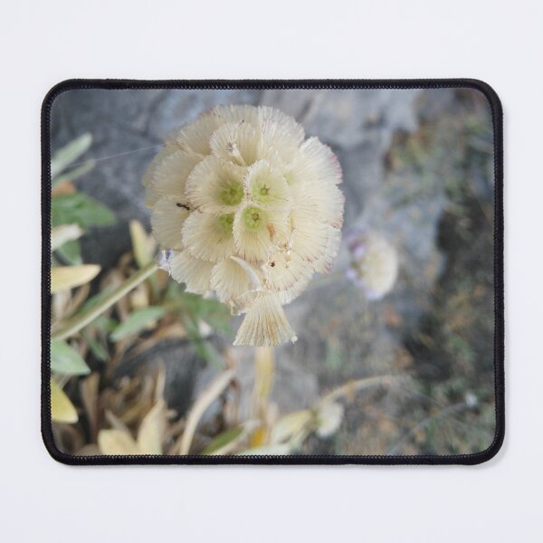 Item preview, White flower designed and sold by foxxya.