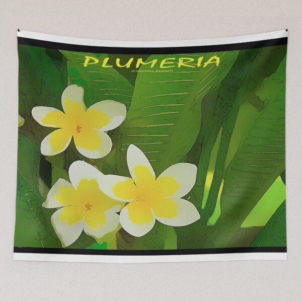 Artikelvorschau, Plumeria-Blumenplakat entworfen und verkauft von Randall Bennett.