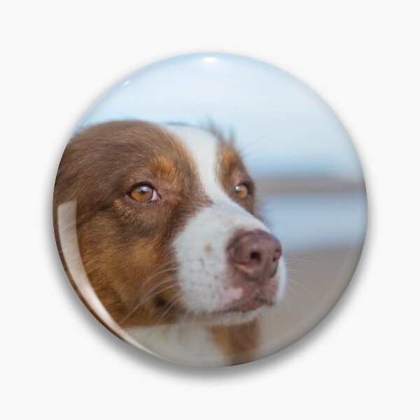 Item preview, Australian Shepherd Dog OnThe Beach designed and sold by TheAnimalZ00.