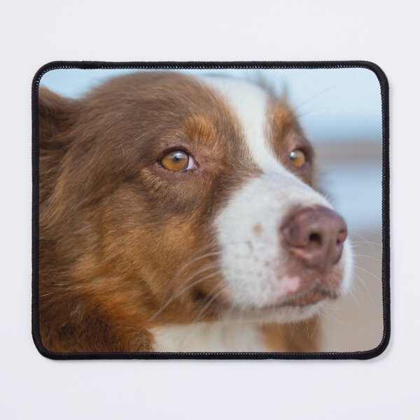 Item preview, Australian Shepherd Dog OnThe Beach designed and sold by TheAnimalZ00.