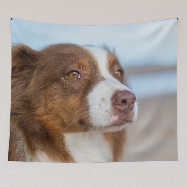 Item preview, Australian Shepherd Dog OnThe Beach designed and sold by TheAnimalZ00.