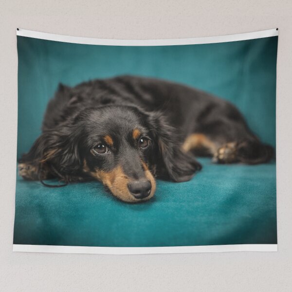 Item preview, Relaxing Dachshund Dog designed and sold by TheAnimalZ00.