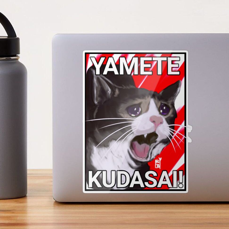 Yamete kudasai meme cat | Sticker