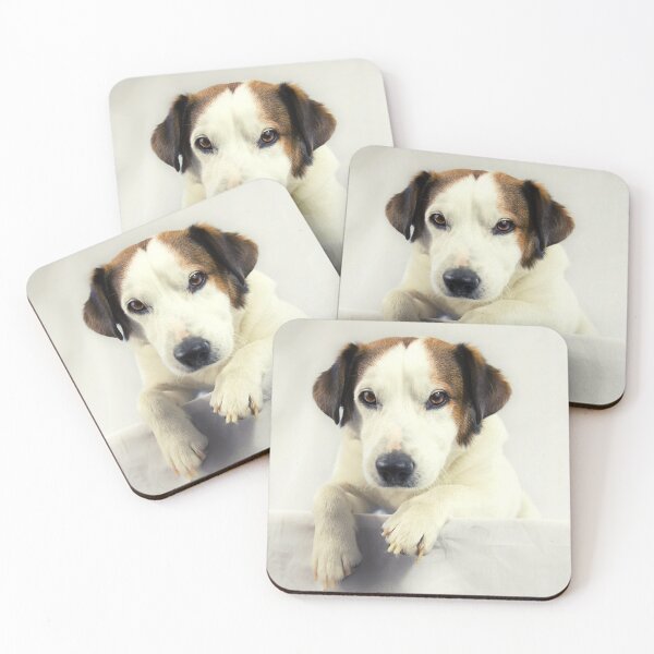 Item preview, Jack Russell Terrier Photo designed and sold by TheAnimalZ00.