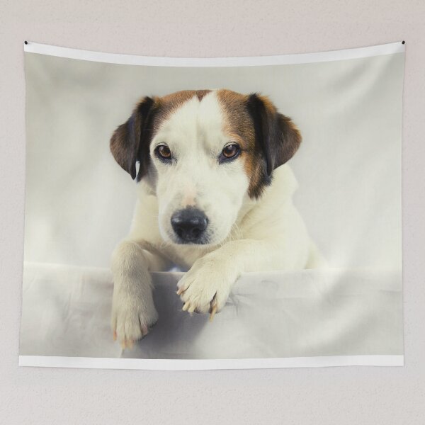 Item preview, Jack Russell Terrier Photo designed and sold by TheAnimalZ00.