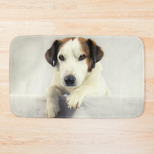 Item preview, Jack Russell Terrier Photo designed and sold by TheAnimalZ00.