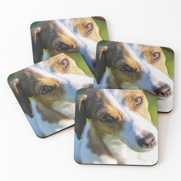 Item preview, Cute Jack Russell Terrier Photo designed and sold by TheAnimalZ00.