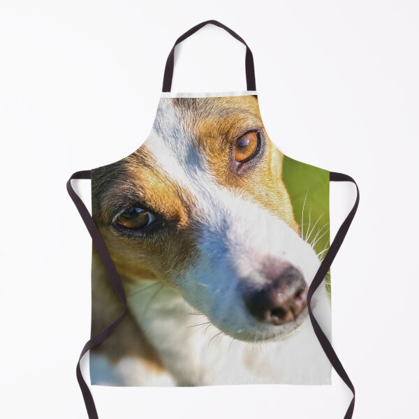 Item preview, Cute Jack Russell Terrier Photo designed and sold by TheAnimalZ00.