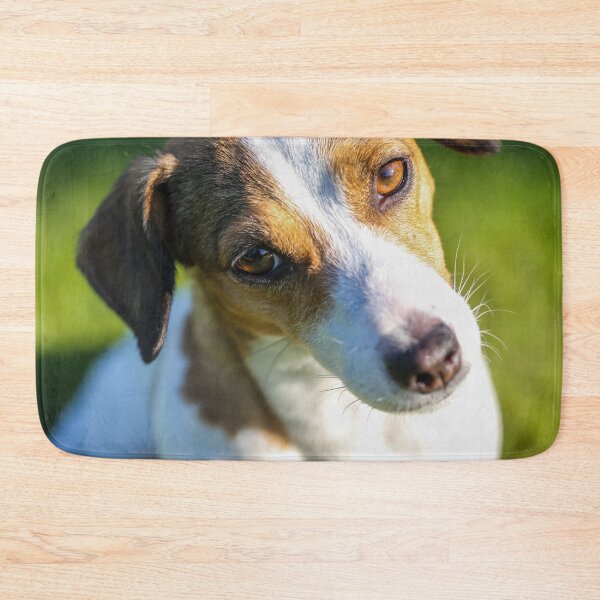 Item preview, Cute Jack Russell Terrier Photo designed and sold by TheAnimalZ00.