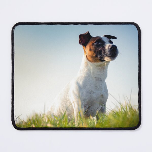 Item preview, Jack Russell Terrier designed and sold by TheAnimalZ00.