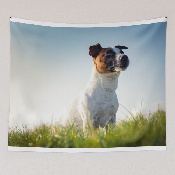 Artikelvorschau, Jack Russell Terrier entworfen und verkauft von TheAnimalZ00.