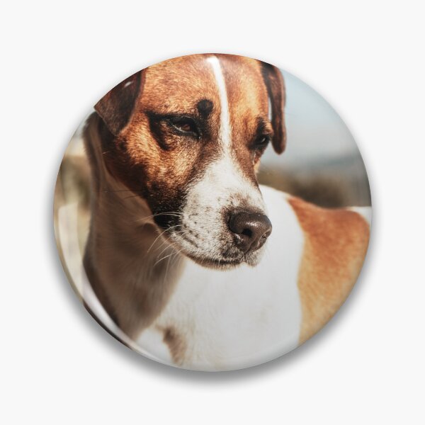 Item preview, Jack Russell Terrier Photo designed and sold by TheAnimalZ00.