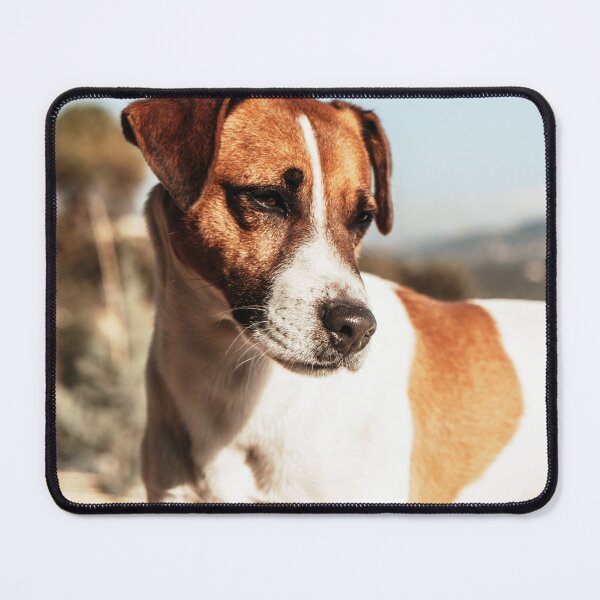 Item preview, Jack Russell Terrier Photo designed and sold by TheAnimalZ00.