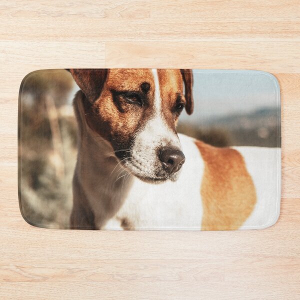 Item preview, Jack Russell Terrier Photo designed and sold by TheAnimalZ00.