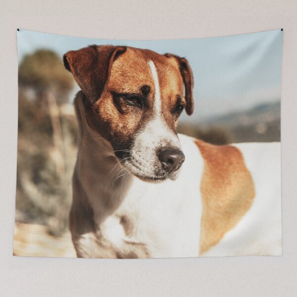 Item preview, Jack Russell Terrier Photo designed and sold by TheAnimalZ00.
