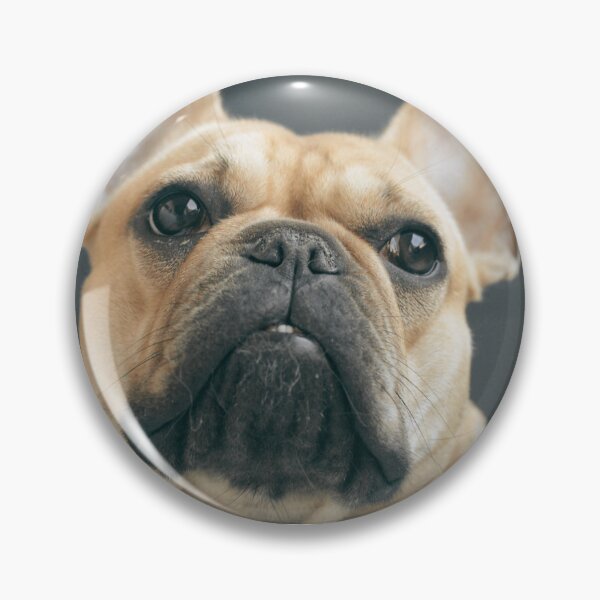 Item preview, Fawn French Bulldog Face  designed and sold by TheAnimalZ00.