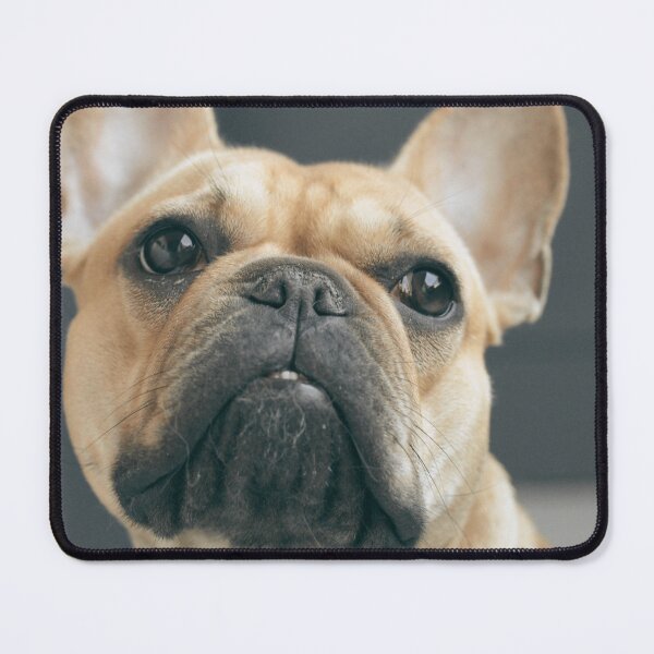 Item preview, Fawn French Bulldog Face  designed and sold by TheAnimalZ00.