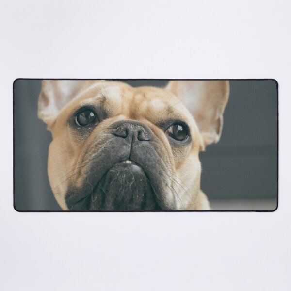 Item preview, Fawn French Bulldog Face  designed and sold by TheAnimalZ00.