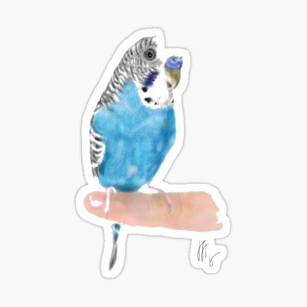 Pretty Blue Parakeet Budgie Sticker