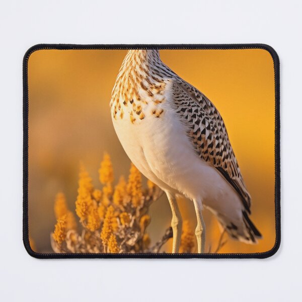 Item preview, Upland Sandpiper designed and sold by DigitizedArt.