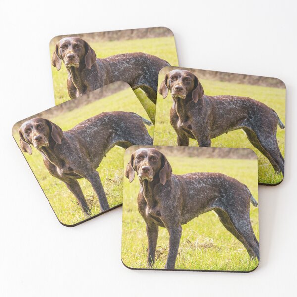 Item preview, German Shorthaired Pointer Photo designed and sold by TheAnimalZ00.