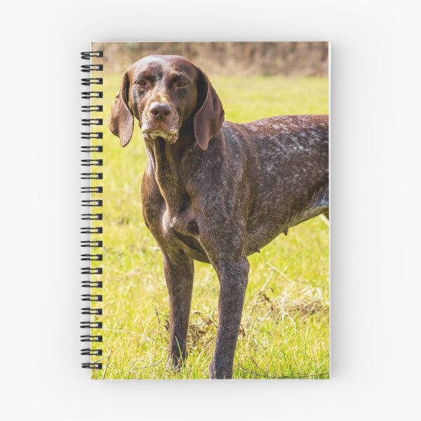 Item preview, German Shorthaired Pointer Photo designed and sold by TheAnimalZ00.