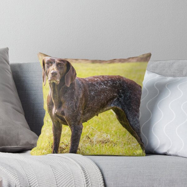 Item preview, German Shorthaired Pointer Photo designed and sold by TheAnimalZ00.