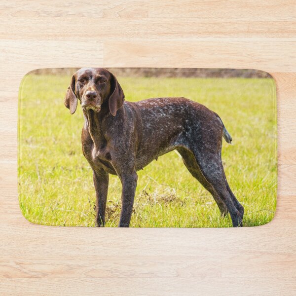 Item preview, German Shorthaired Pointer Photo designed and sold by TheAnimalZ00.