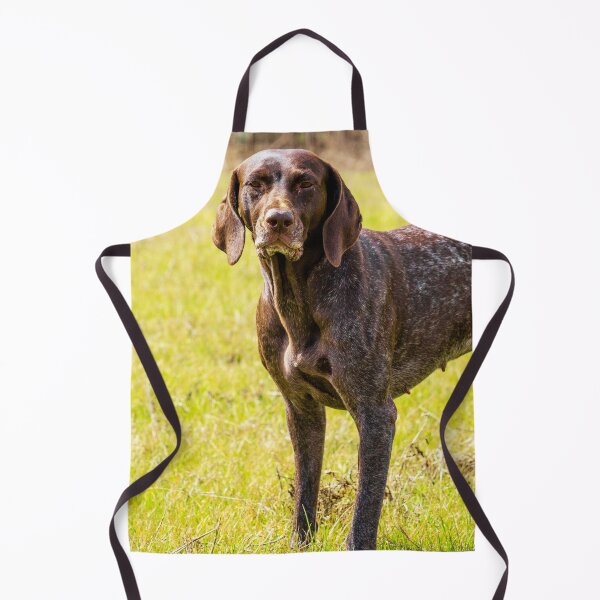 Item preview, German Shorthaired Pointer Photo designed and sold by TheAnimalZ00.