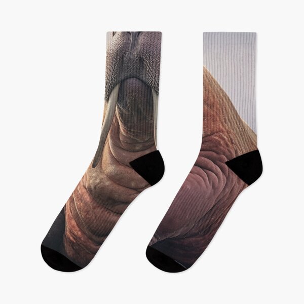 Item preview, Walrus designed and sold by DigitizedArt.