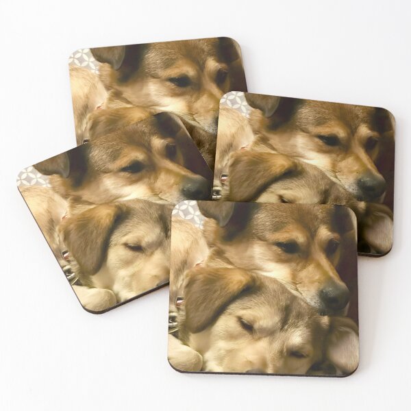 Item preview, Cozy Dogs designed and sold by Tucker Buddies.