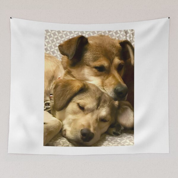 Item preview, Cozy Dogs designed and sold by Tucker Buddies.
