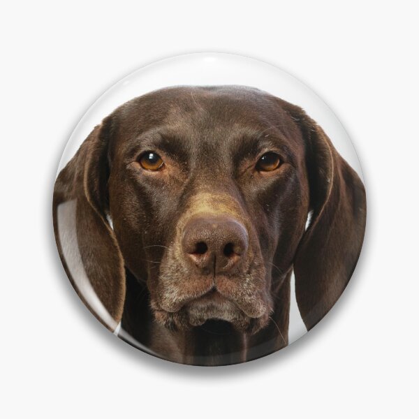 Item preview, German Shorthaired Pointer Dog designed and sold by TheAnimalZ00.