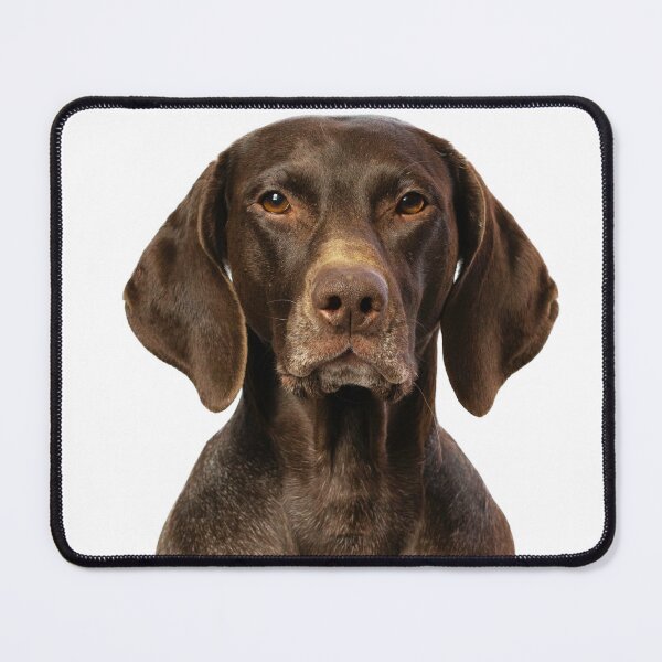 Item preview, German Shorthaired Pointer Dog designed and sold by TheAnimalZ00.