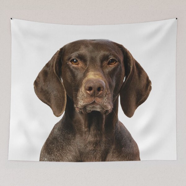 Item preview, German Shorthaired Pointer Dog designed and sold by TheAnimalZ00.
