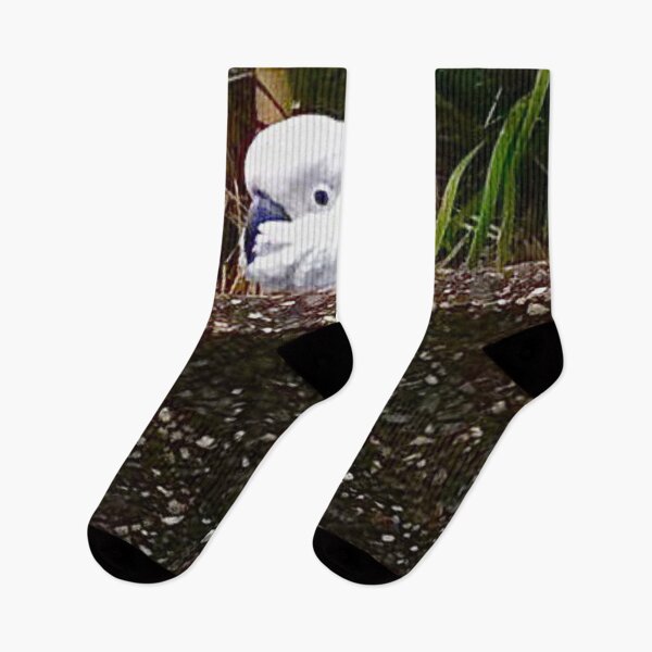 Item preview, Cockatoo takes a peek1 designed and sold by Mickangelhere.