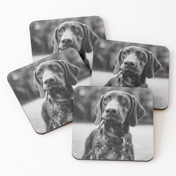 Item preview, Black and White German Shorthaired Pointer Photo designed and sold by TheAnimalZ00.