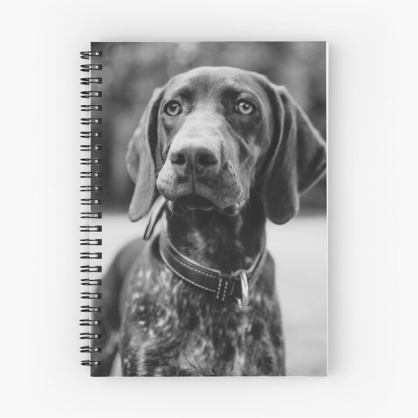 Item preview, Black and White German Shorthaired Pointer Photo designed and sold by TheAnimalZ00.