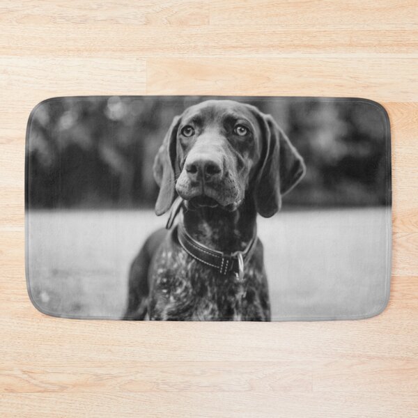 Item preview, Black and White German Shorthaired Pointer Photo designed and sold by TheAnimalZ00.