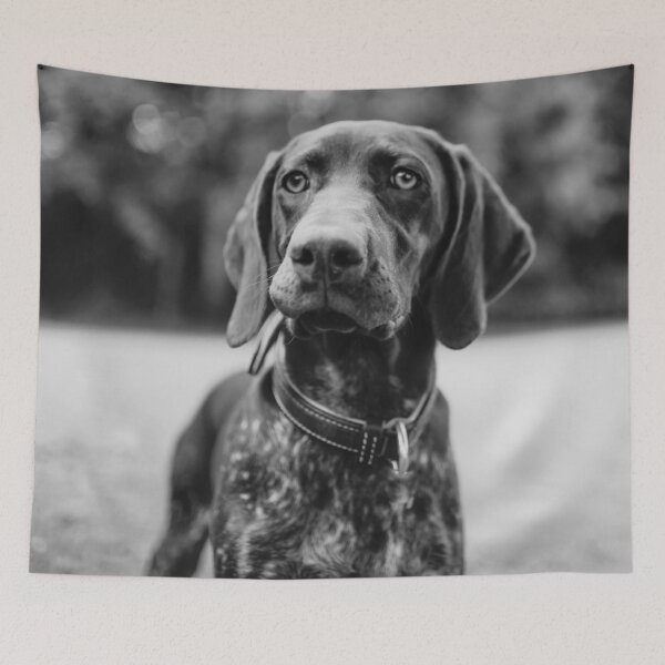 Item preview, Black and White German Shorthaired Pointer Photo designed and sold by TheAnimalZ00.