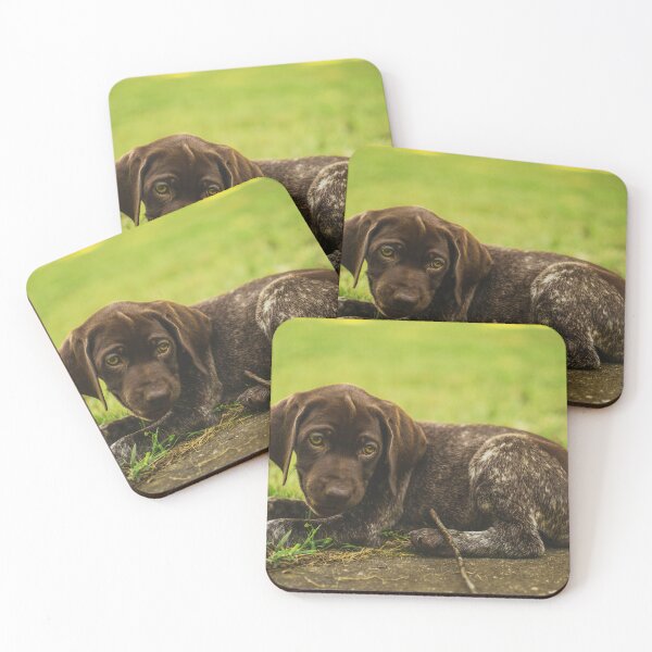 Item preview, Cute German Shorthaired Pointer Puppy Photo designed and sold by TheAnimalZ00.