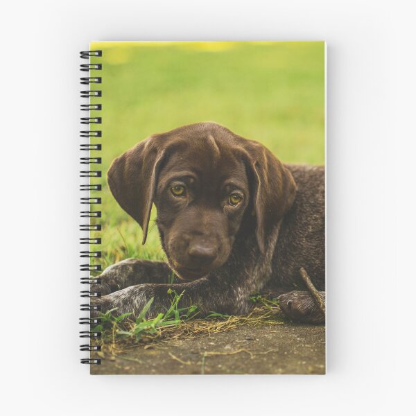 Item preview, Cute German Shorthaired Pointer Puppy Photo designed and sold by TheAnimalZ00.