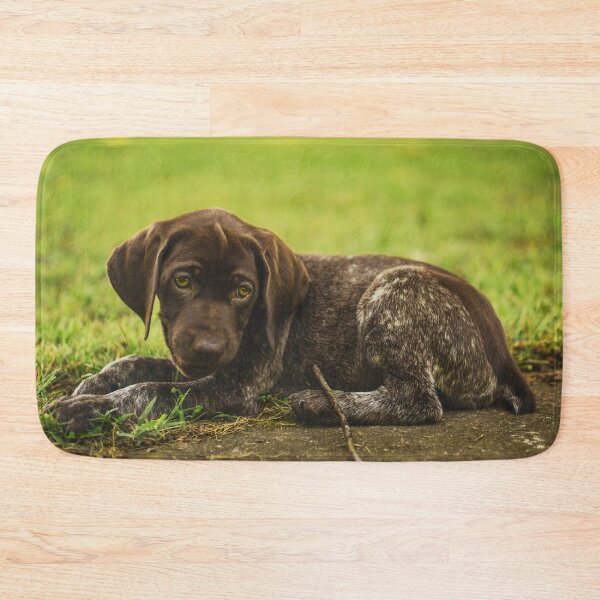Item preview, Cute German Shorthaired Pointer Puppy Photo designed and sold by TheAnimalZ00.