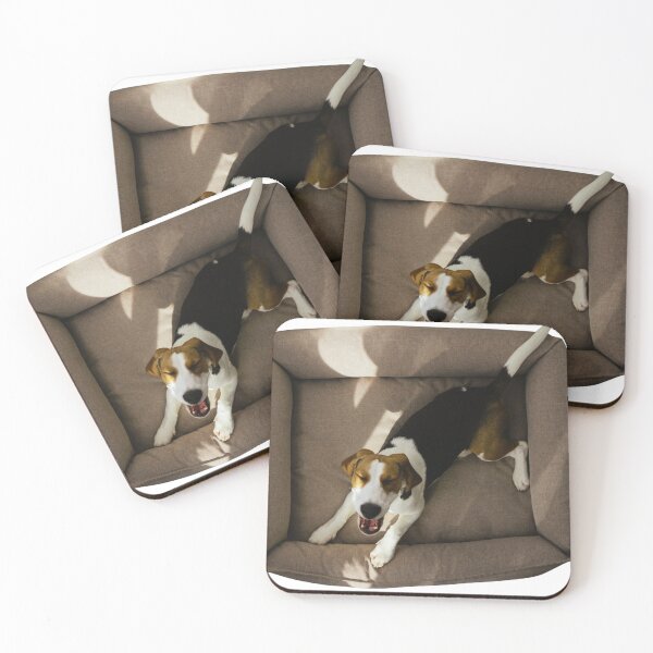 Item preview, Cute Beagle Dog In Their Bed designed and sold by TheAnimalZ00.