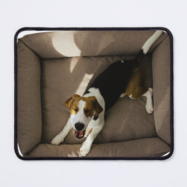 Item preview, Cute Beagle Dog In Their Bed designed and sold by TheAnimalZ00.