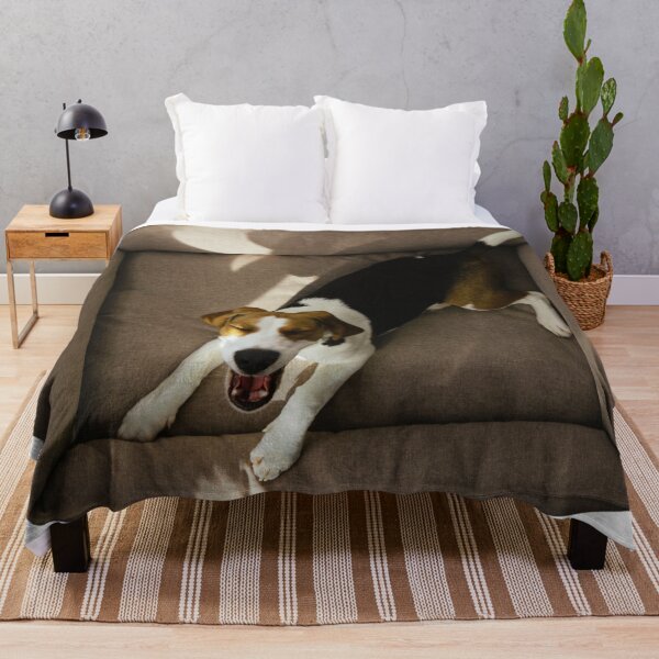 Item preview, Cute Beagle Dog In Their Bed designed and sold by TheAnimalZ00.