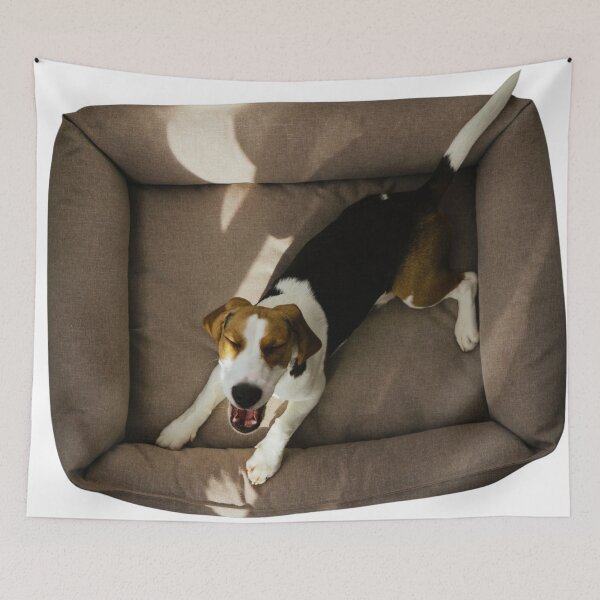 Item preview, Cute Beagle Dog In Their Bed designed and sold by TheAnimalZ00.